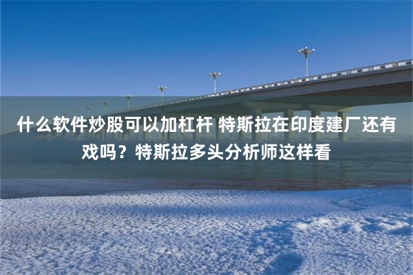 什么软件炒股可以加杠杆 特斯拉在印度建厂还有戏吗？特斯拉多头分析师这样看