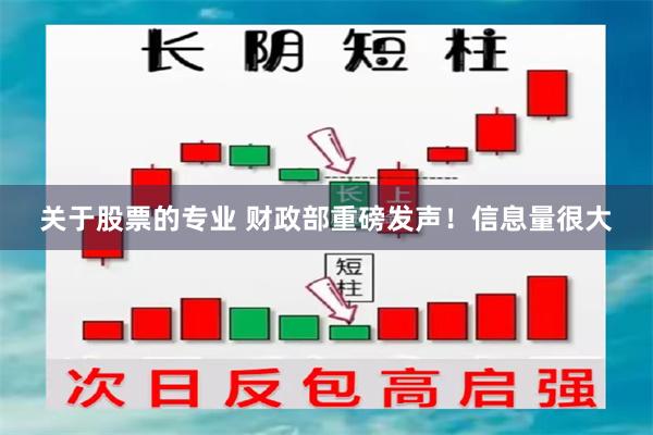 关于股票的专业 财政部重磅发声！信息量很大