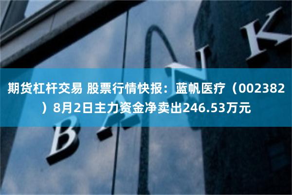 期货杠杆交易 股票行情快报：蓝帆医疗（002382）8月2日主力资金净卖出246.53万元