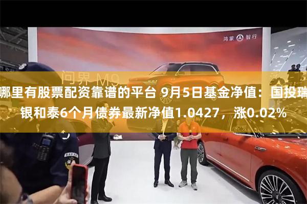 哪里有股票配资靠谱的平台 9月5日基金净值：国投瑞银和泰6个月债券最新净值1.0427，涨0.02%