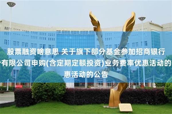 股票融资啥意思 关于旗下部分基金参加招商银行股份有限公司申购(含定期定额投资)业务费率优惠活动的公告