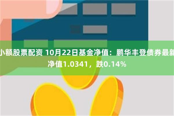 小额股票配资 10月22日基金净值：鹏华丰登债券最新净值1.0341，跌0.14%