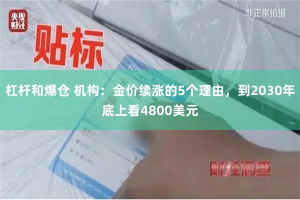 杠杆和爆仓 机构：金价续涨的5个理由，到2030年底上看4800美元