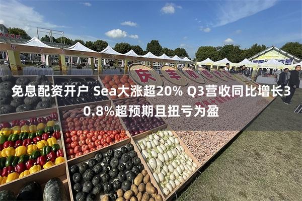 免息配资开户 Sea大涨超20% Q3营收同比增长30.8%超预期且扭亏为盈