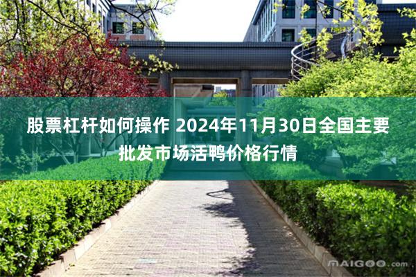 股票杠杆如何操作 2024年11月30日全国主要批发市场活鸭价格行情