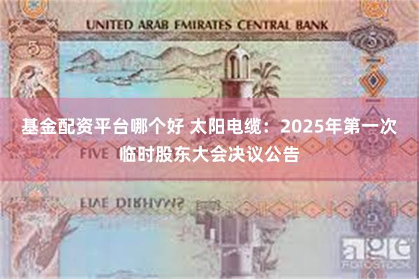 基金配资平台哪个好 太阳电缆：2025年第一次临时股东大会决议公告