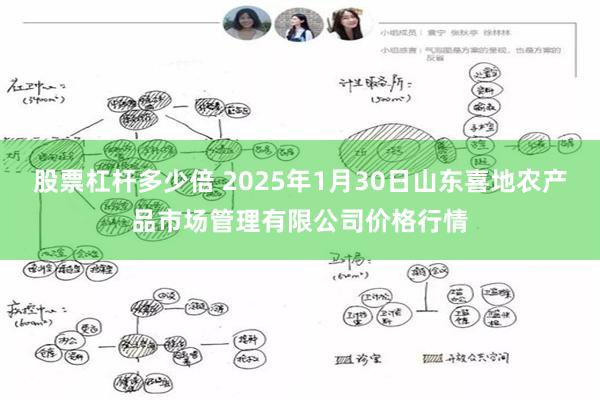 股票杠杆多少倍 2025年1月30日山东喜地农产品市场管理有限公司价格行情