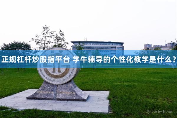 正规杠杆炒股指平台 学牛辅导的个性化教学是什么？