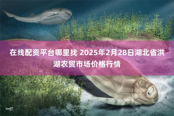 在线配资平台哪里找 2025年2月28日湖北省洪湖农贸市场价格行情