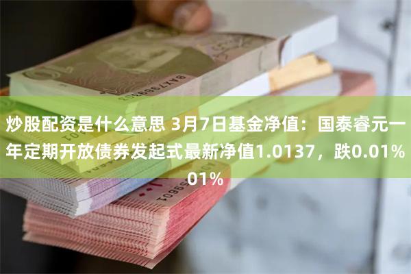 炒股配资是什么意思 3月7日基金净值：国泰睿元一年定期开放债券发起式最新净值1.0137，跌0.01%